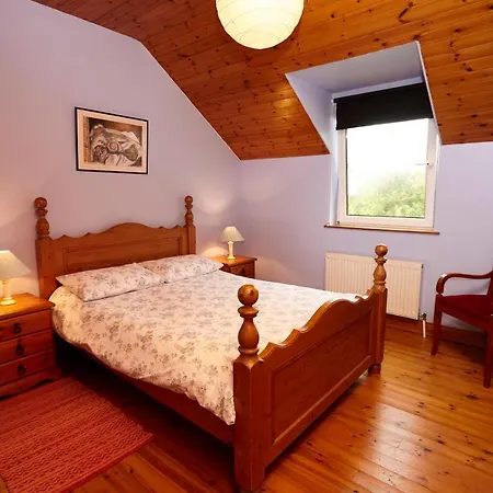 Mount Brandon * Graiguenamanagh