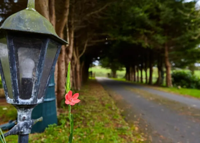 Mount Brandon Chalet